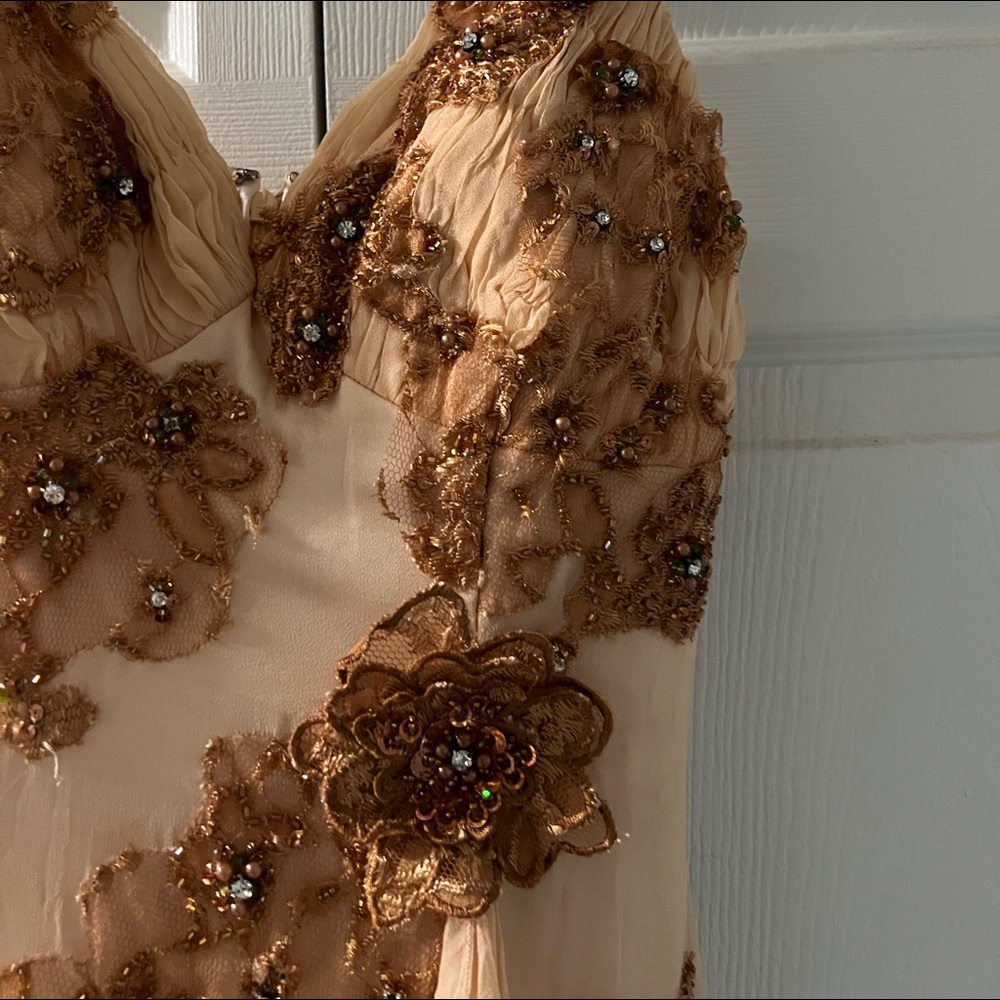 Chiffon cream lace gown - Picture 9 of 11
